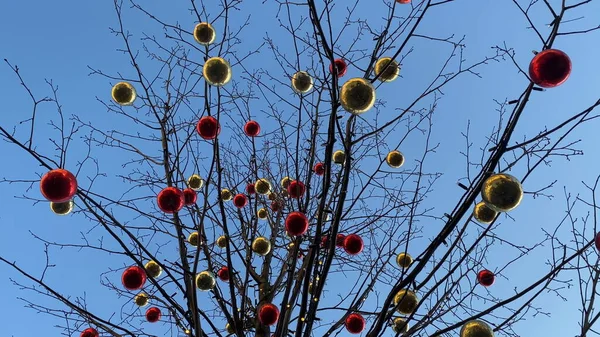 Christmas Decorations Red Golden Balls Tree Branches Clear Blue Sky — Stock Photo, Image