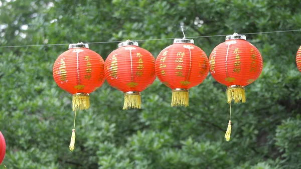 Lanterna Vermelha Festival Chinês Contra Fundo Árvores Verdes Céu — Fotografia de Stock