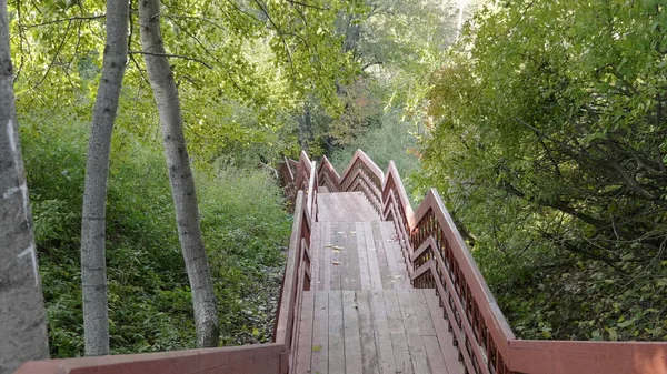 Wooden Stairs Park Walks Nature — Stock Photo, Image