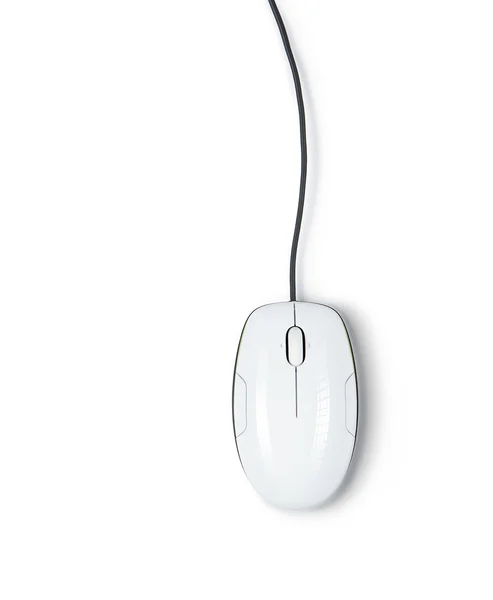 Computer mouse — Stock Photo, Image