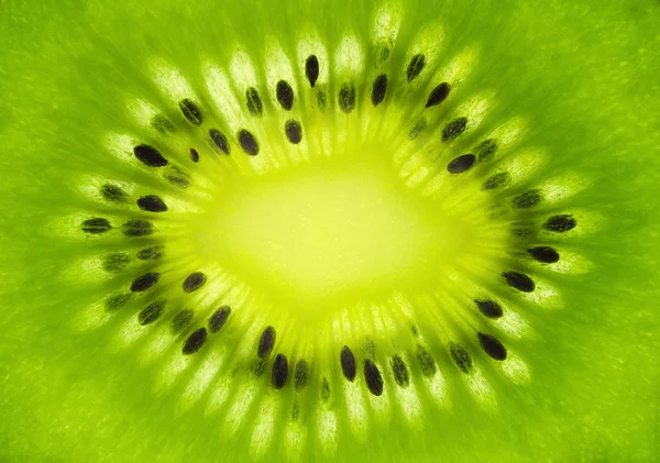 Kiwi ovoce průřez — Stock fotografie