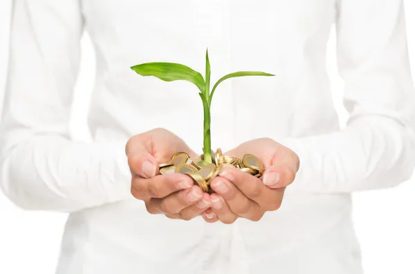 Nahaufnahme weiblicher Hände mit einem Stapel goldener Münzen, aus denen eine kleine Pflanze wächst — Stockbild Investitionskonzept — Stockfoto