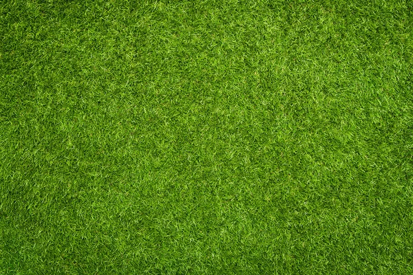 Artificial grass texture — Stock Photo, Image