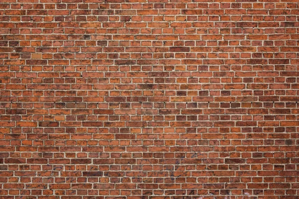 Grunge brick wall — Stock Photo, Image