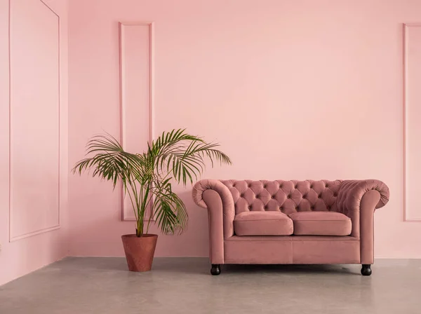Sofá Elegante Sala Rosa Vazia Com Espaço Cópia Imagens De Bancos De Imagens