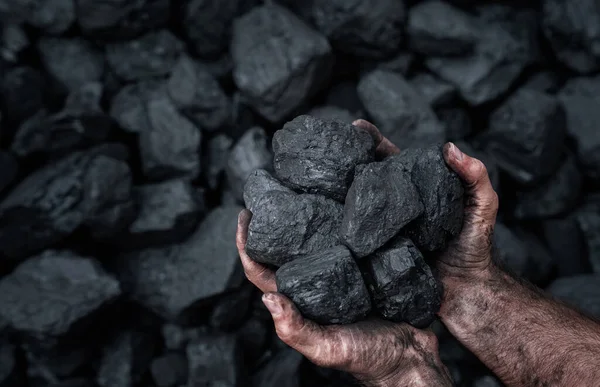 Close Mãos Humanas Segurando Pilha Carvão Com Espaço Cópia Fotos De Bancos De Imagens