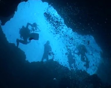 Dalış sualtı video