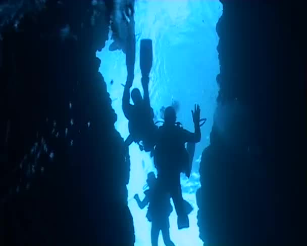 潜水水下视频 — 图库视频影像