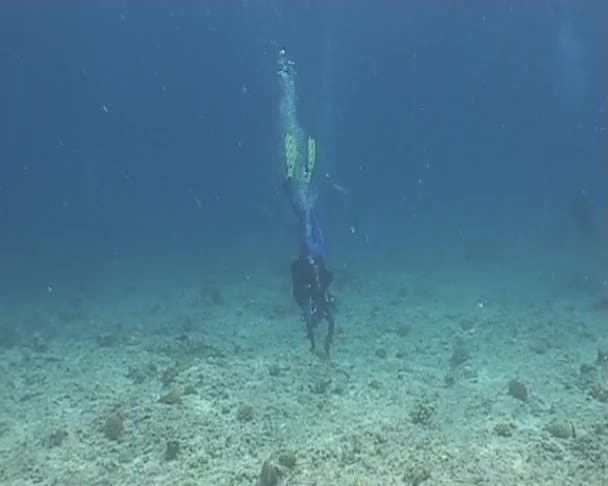 水下潜水视频 — 图库视频影像