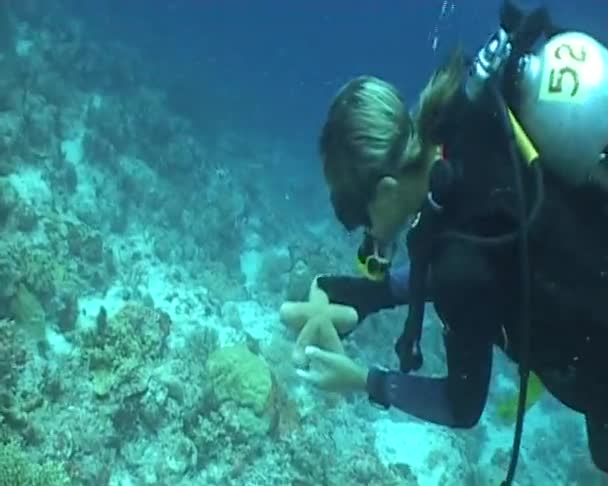 Vidéo de plongée sous-marine — Video