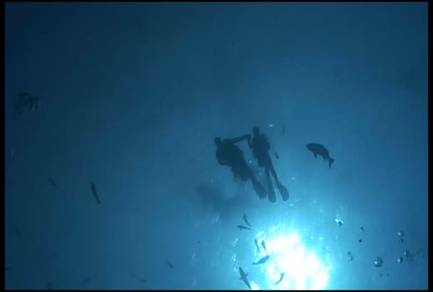 Bajo el agua — Vídeo de stock