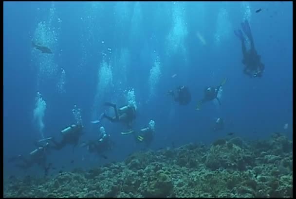 Buceador scooter buceo video submarino — Vídeo de stock