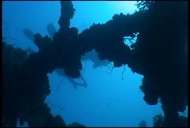 Buceo video submarino — Vídeos de Stock