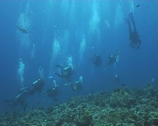 Podwodna nurkowanie wideo — Wideo stockowe