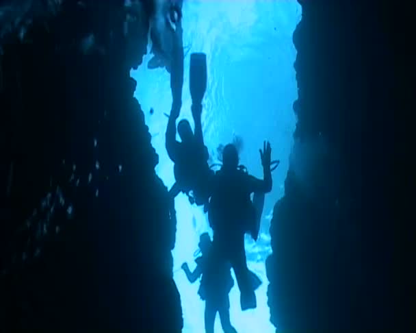 Underwater diving video — Stock Video