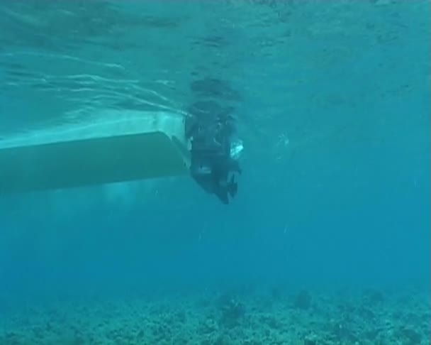 Video de buceo submarino — Vídeo de stock