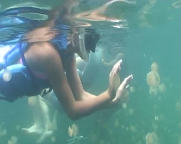 水下潜水视频 — 图库视频影像