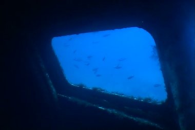 Gemi enkazının sualtı dalış video