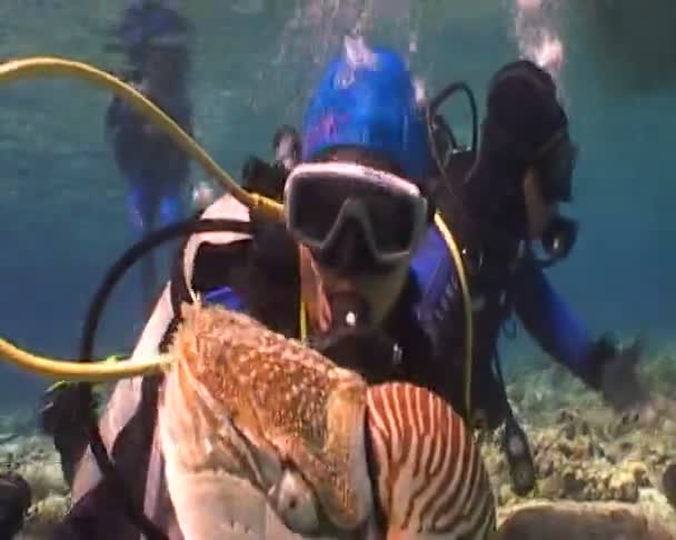 Vidéo de plongée sous-marine — Video