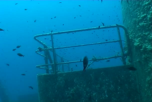 Malta navio subaquático naufrágio mergulho — Vídeo de Stock