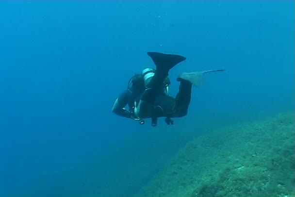 Підводний дайвінг відео — стокове відео