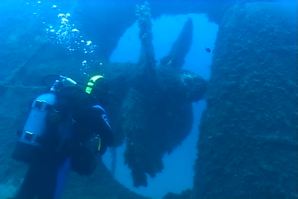 Подводное плавание под водой — стоковое видео
