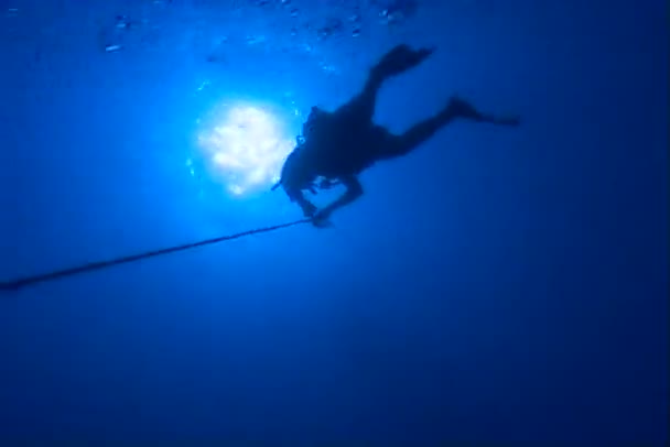 Vidéo de plongée sous-marine — Video