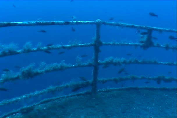 Malta unterwasser schiff wrack tauchen — Stockvideo