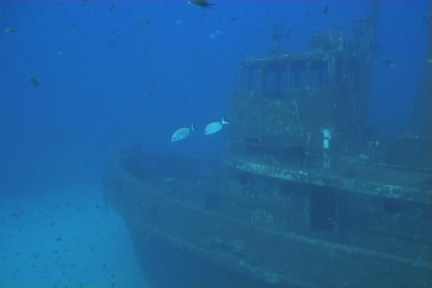 Відео з підводного дайвінгу на кораблі — стокове відео