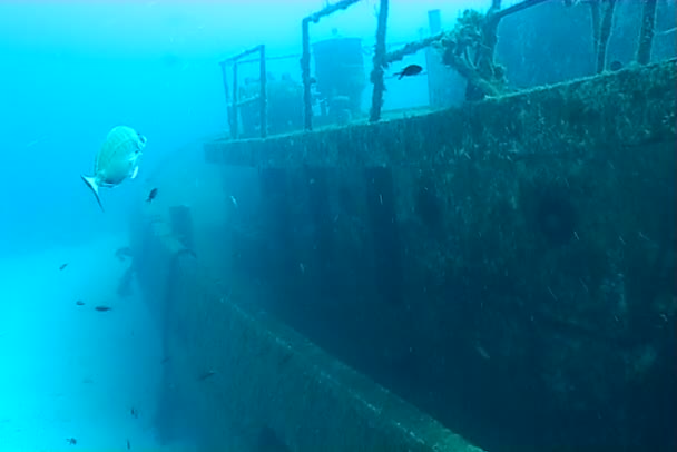 Malta underwater ship wreck diving — Stock Video