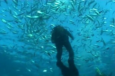 sualtı dalış video