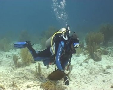 sualtı dalış video