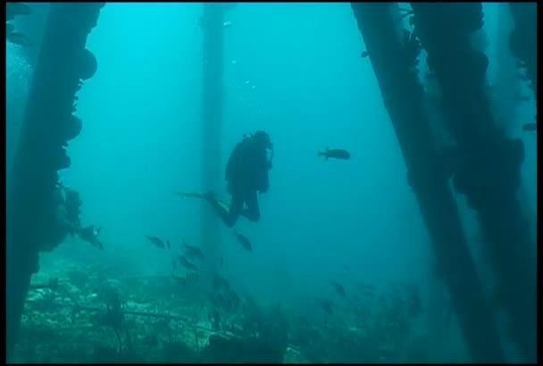 Vidéo de plongée sous-marine — Video