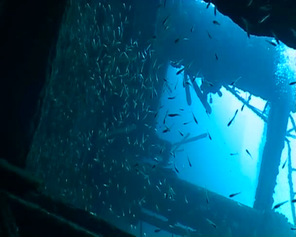 Malta underwater ship wreck diving — Stock Video