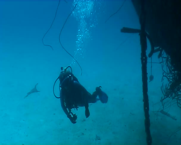 Malta undervattens vrak dykning — Stockvideo