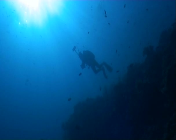 Underwater dykning video — Stockvideo