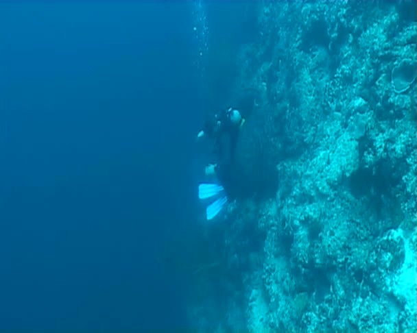 Video de buceo submarino — Vídeo de stock