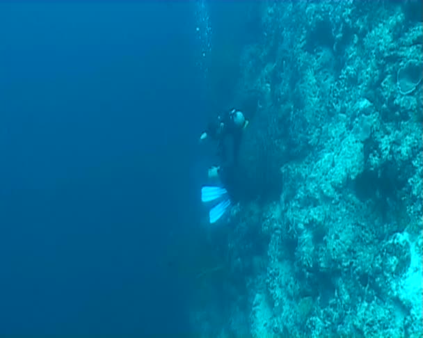 水下潜水视频 — 图库视频影像