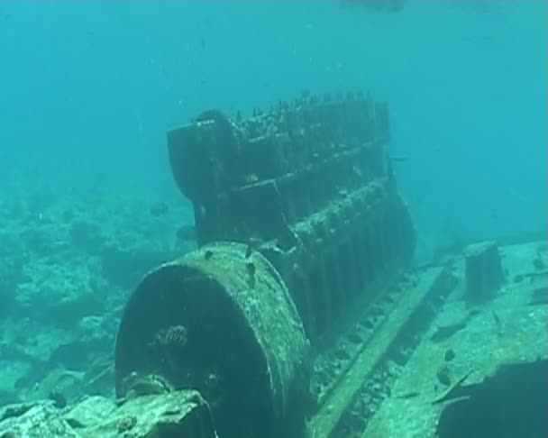 難破船の水中ダイビング ビデオ — ストック動画