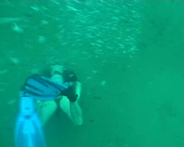 Buceo video submarino — Vídeos de Stock