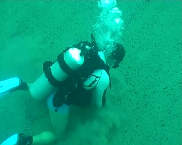 Dykning undervattens video — Stockvideo