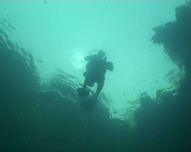 Nurkowanie podwodne wideo — Wideo stockowe