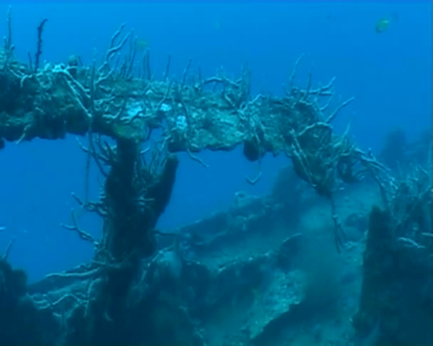 Ship wreck underwater diving — Stock Video