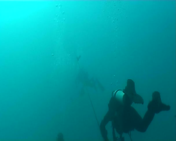 Buceo video submarino — Vídeo de stock