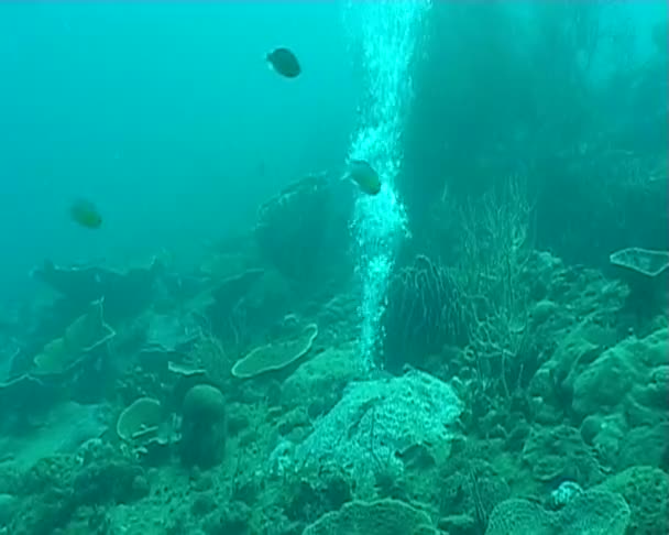 Burbujas de buceo bajo el agua — Vídeo de stock