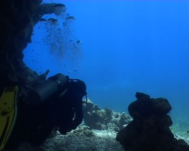 Underwater diving video — Stock Video