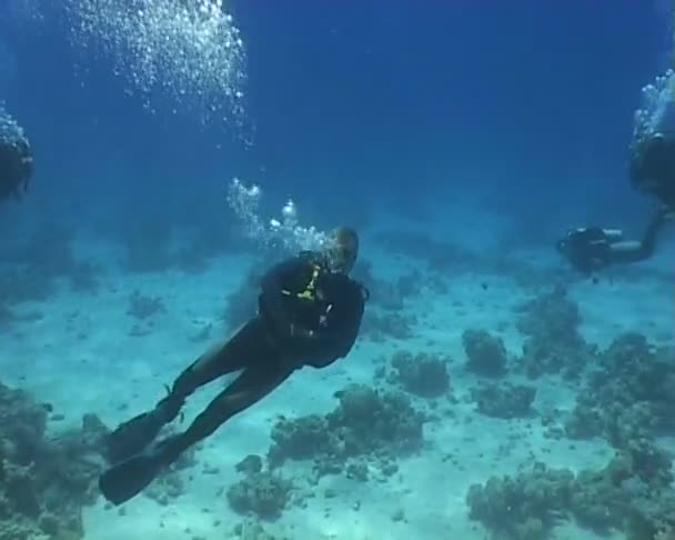 Diving underwater video — Stock Video