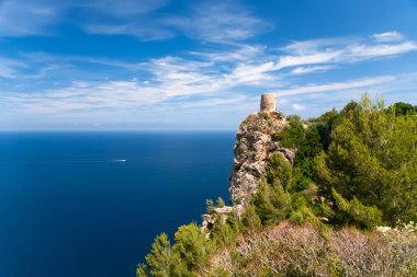 Mallorca Adası İspanya Akdeniz görünüm
