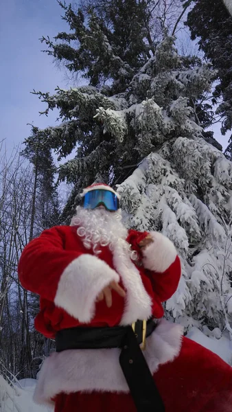 Retrato Santa Claus Gafas Esquí Bosque Invierno Tiempo Navidad Fotos de stock libres de derechos