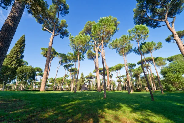 Park der villa borghese, rom, italien — Stockfoto